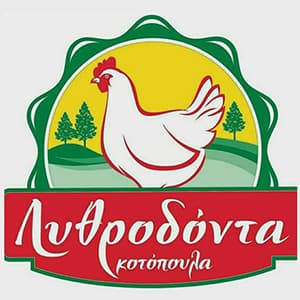 company's logo