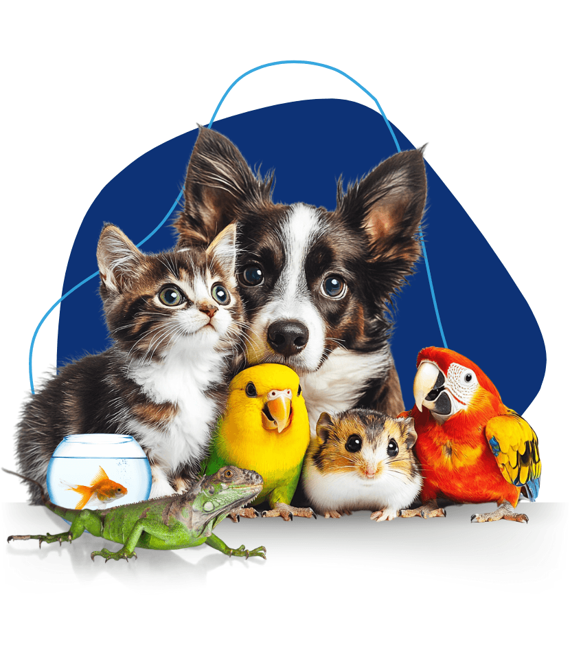 Company cover image