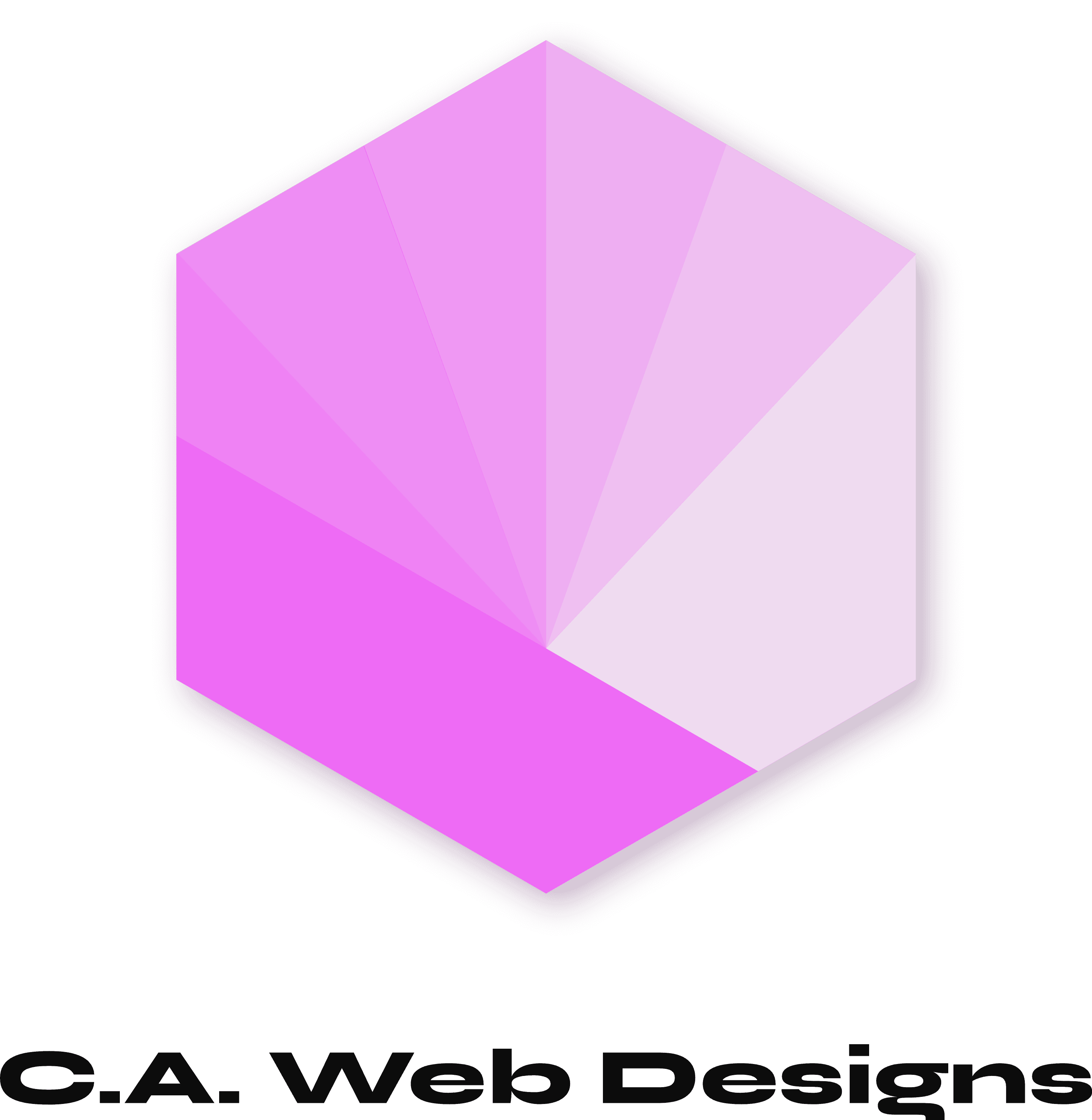 company's logo