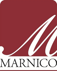 company's logo