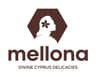 Company name