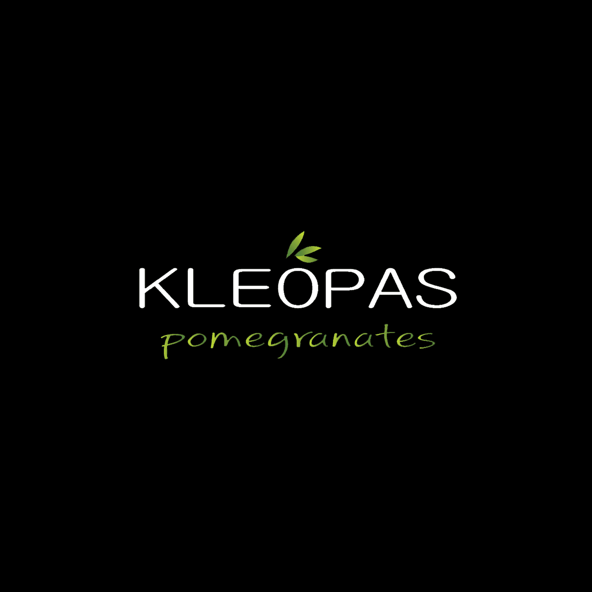 company's logo