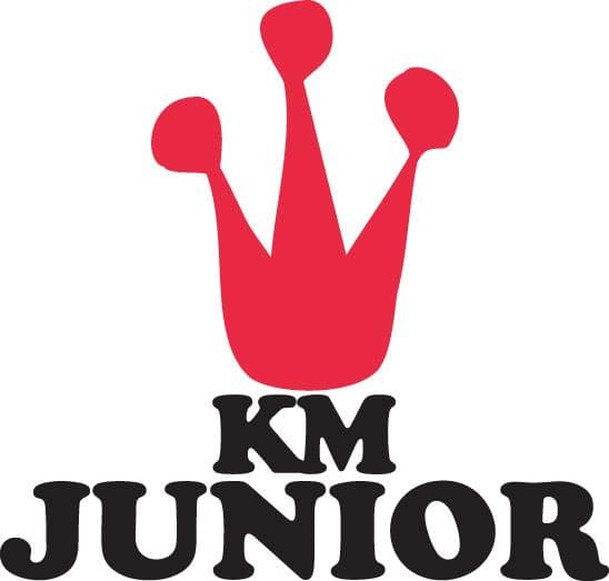 company's logo