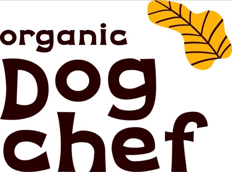 company's logo