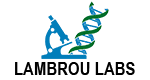 company's logo