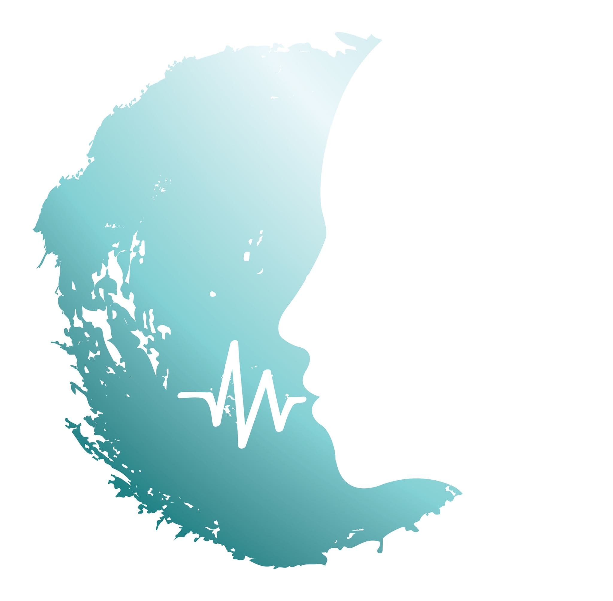 company's logo