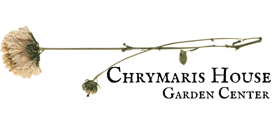 company's logo