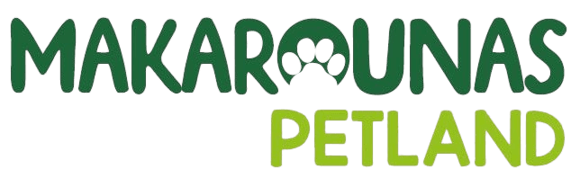 company's logo