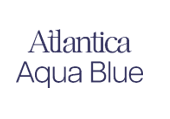 company's logo