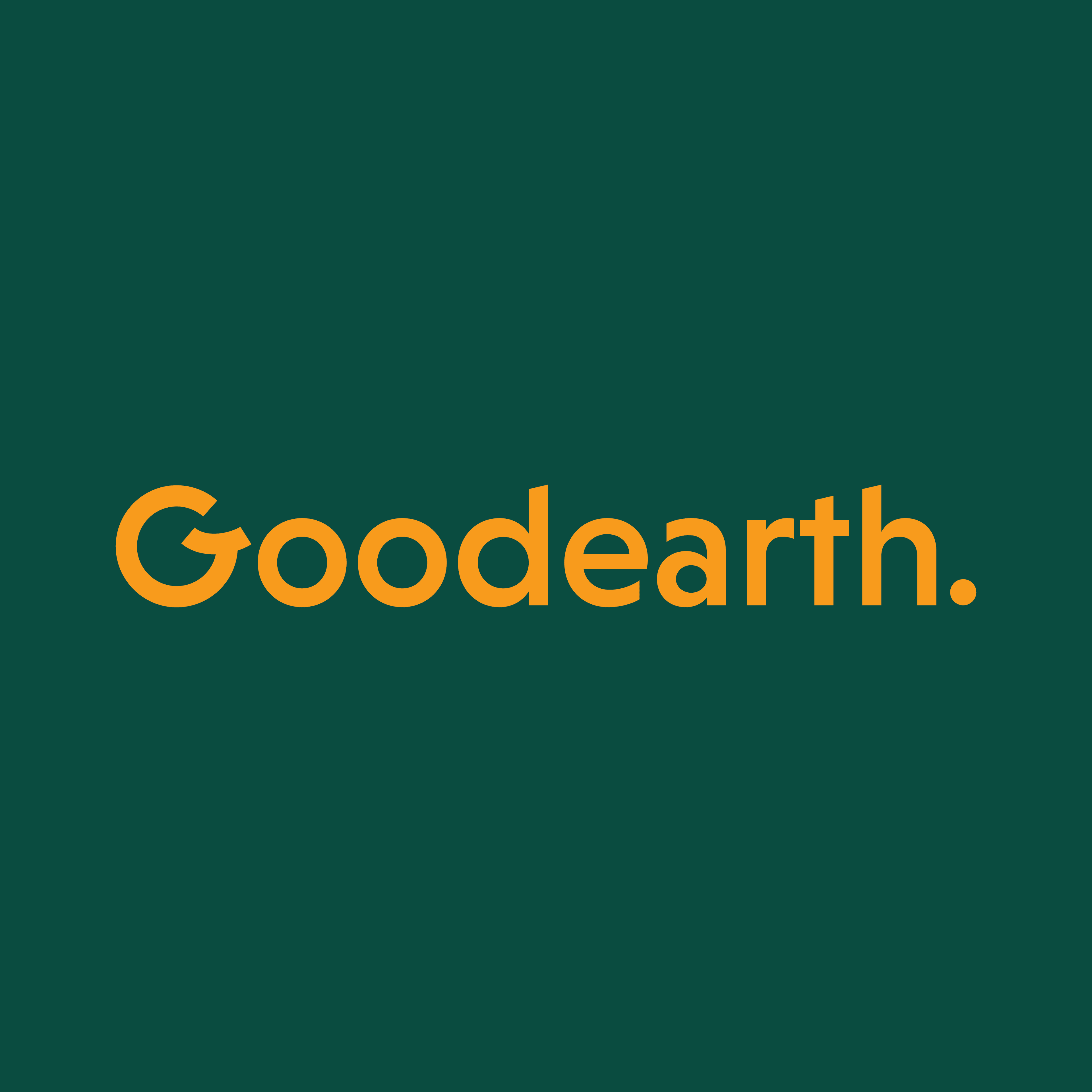 company's logo