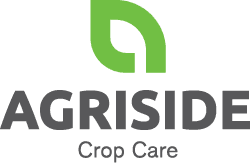 company's logo