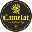 company's logo