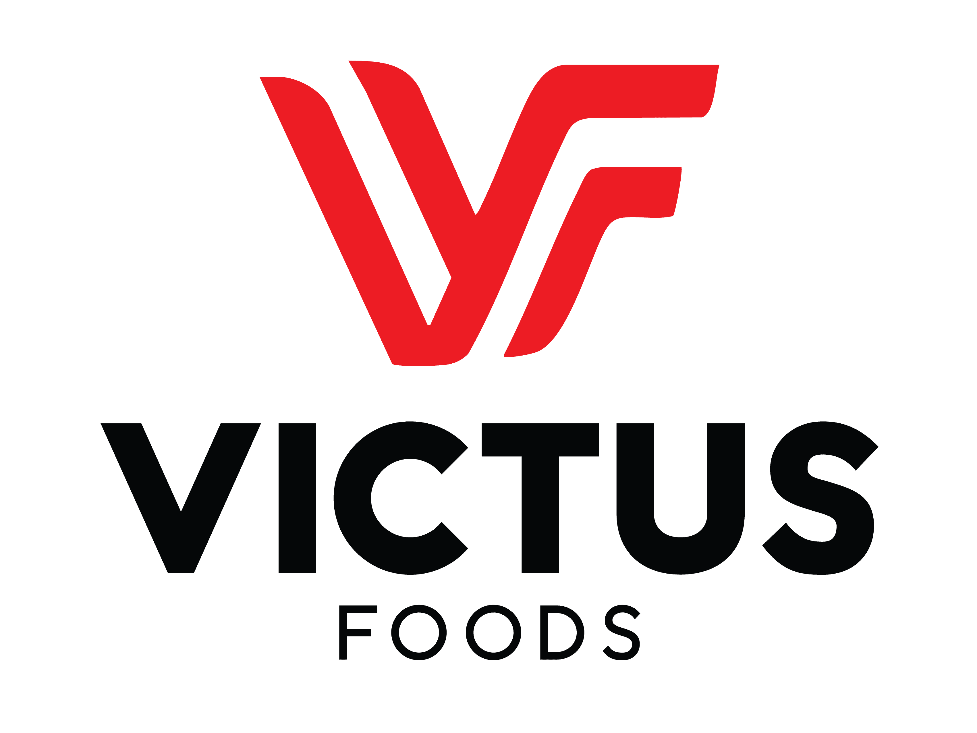 company's logo