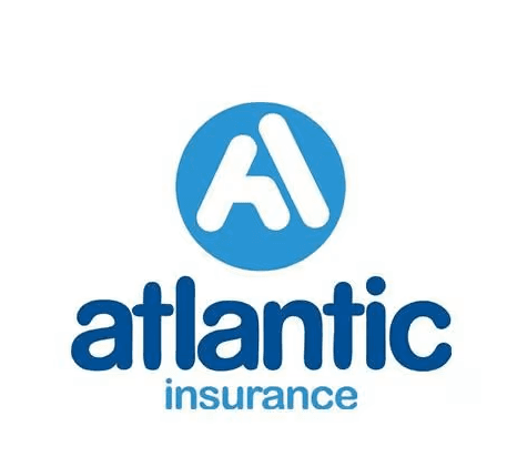 company's logo