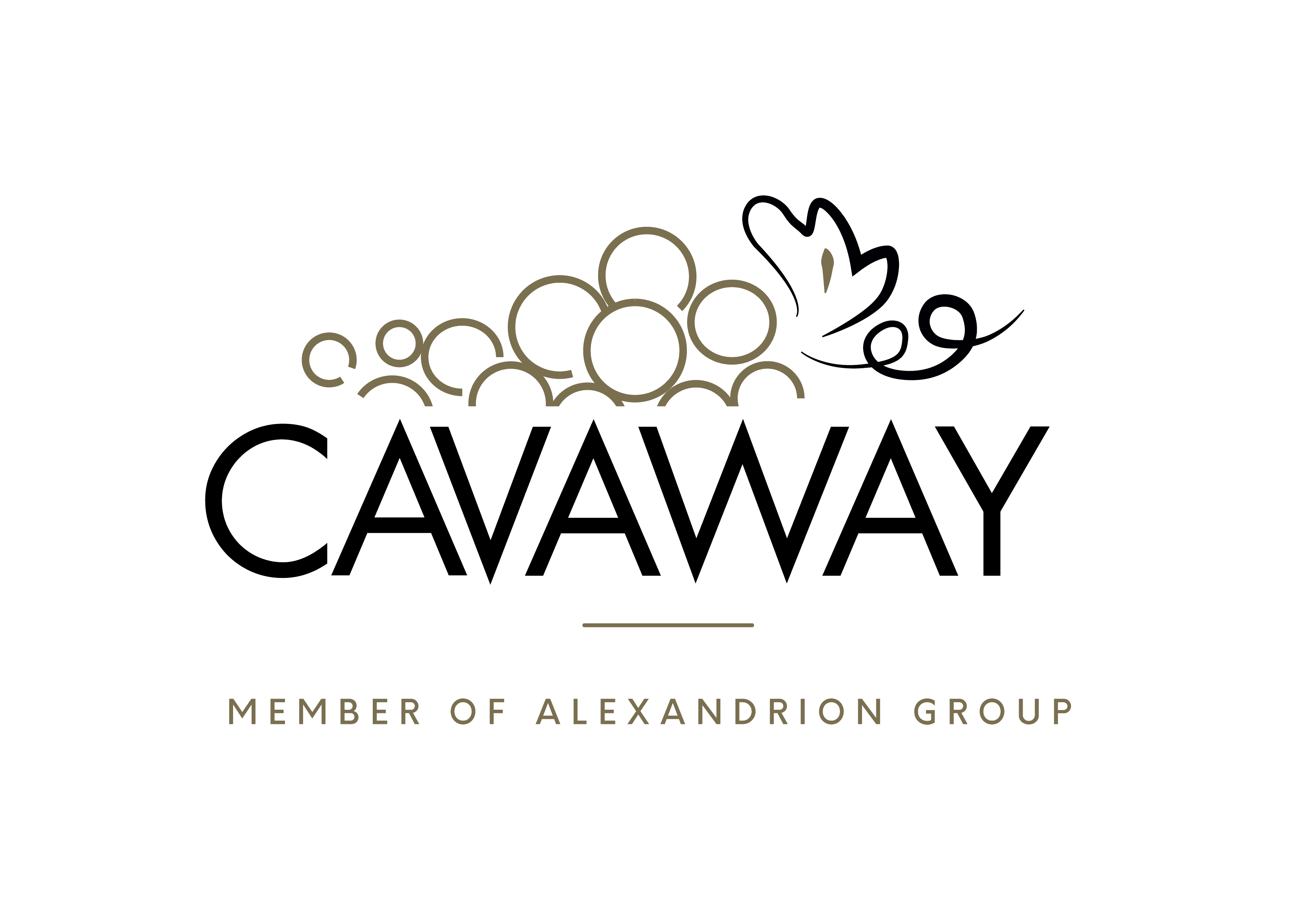 company's logo