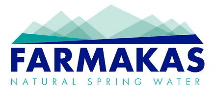 company's logo