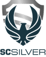 SC Silver Consultancy