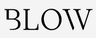 A.P.BLOW LTD