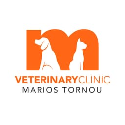 Company image