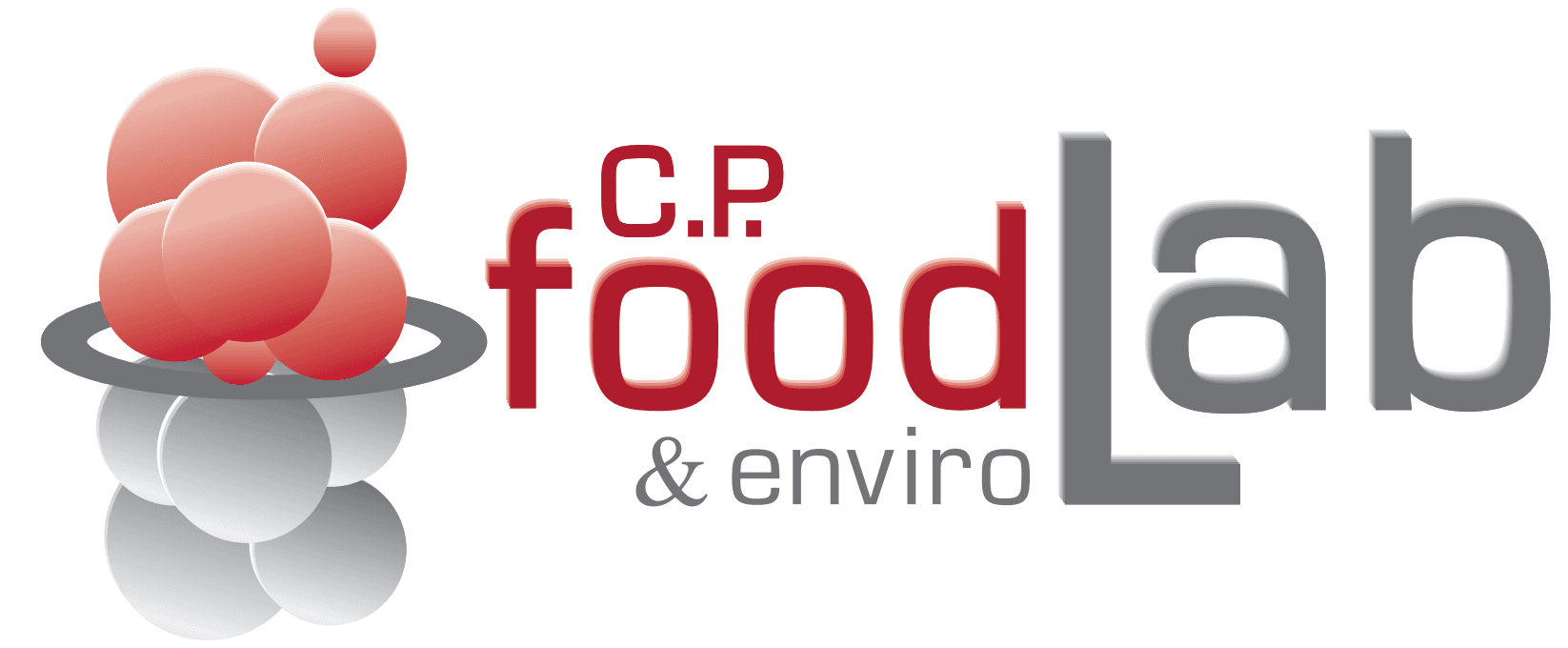 company's logo