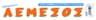 Company name