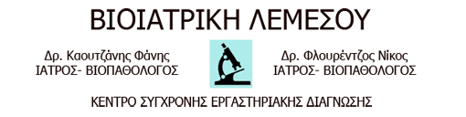 company's logo
