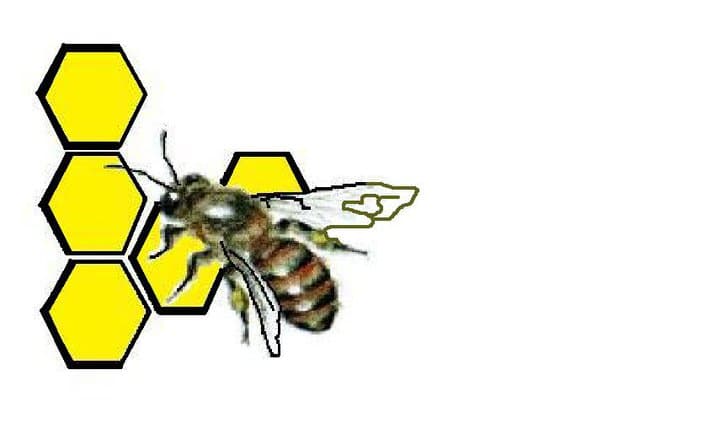 company's logo