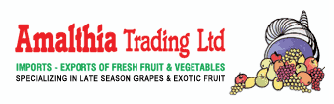 company's logo