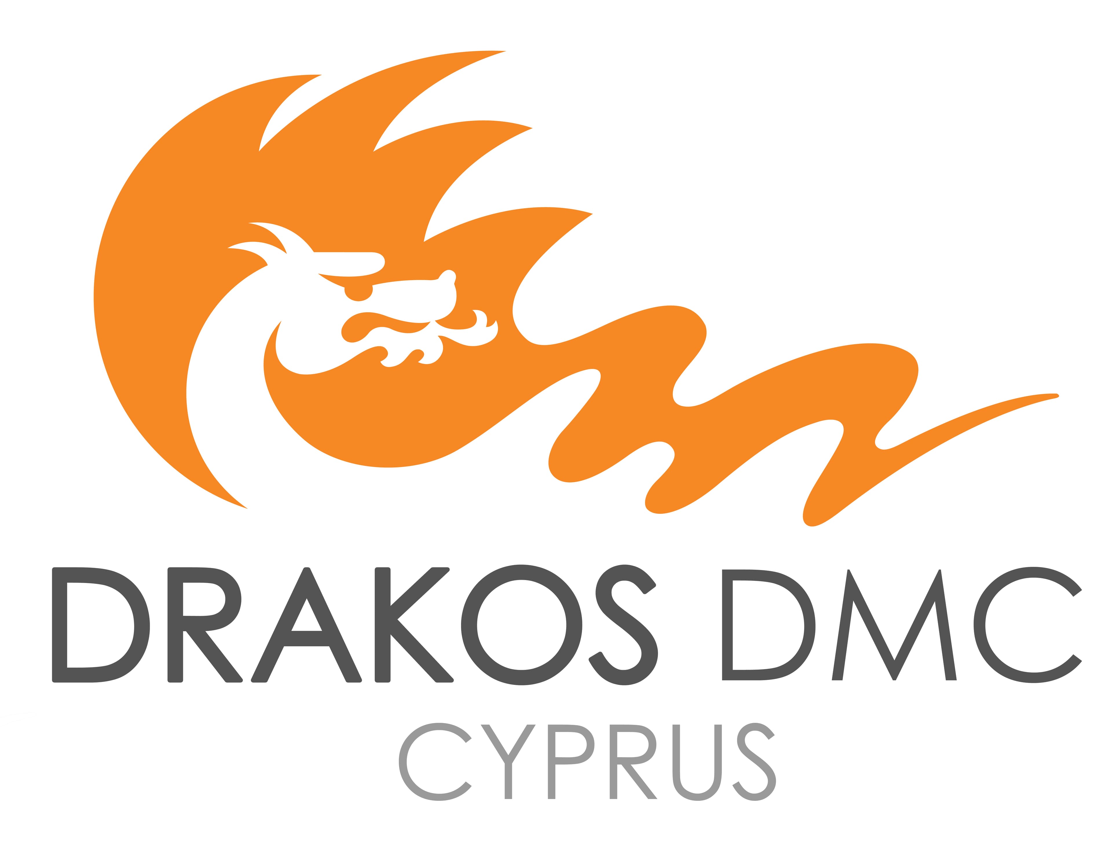 company's logo