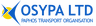 Company name