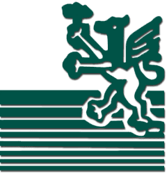 Company image