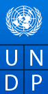 Company name