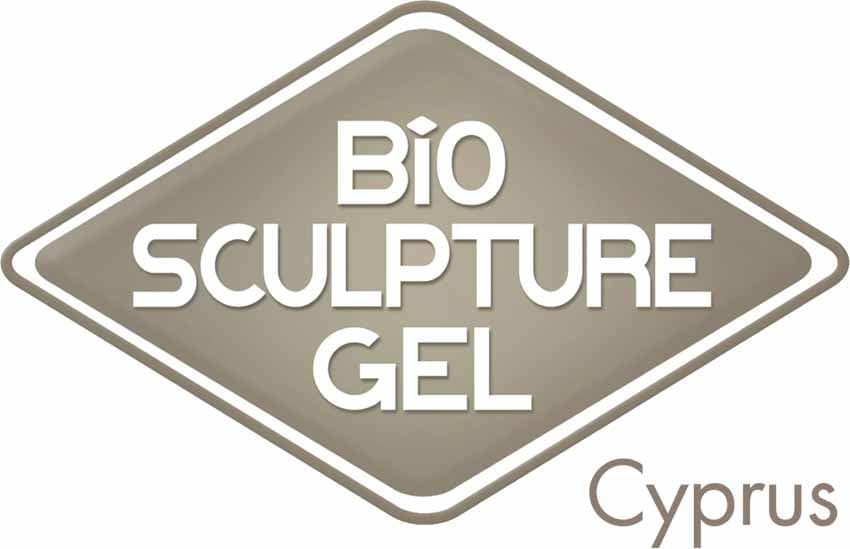 company's logo