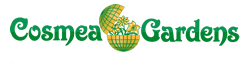 Company image