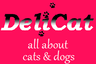 Company name