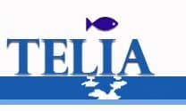 Company image
