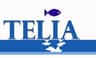 Company name