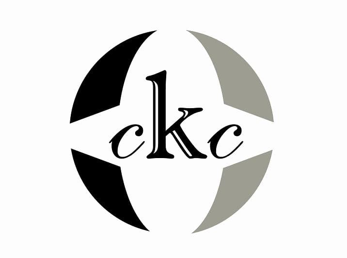 company's logo