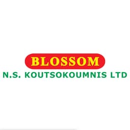 Company image