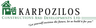 Company name