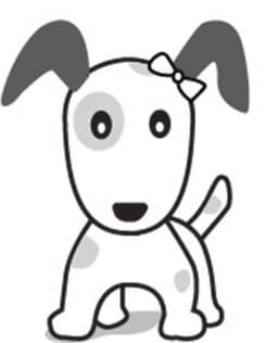 Company image