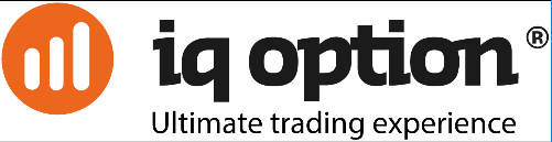 company's logo