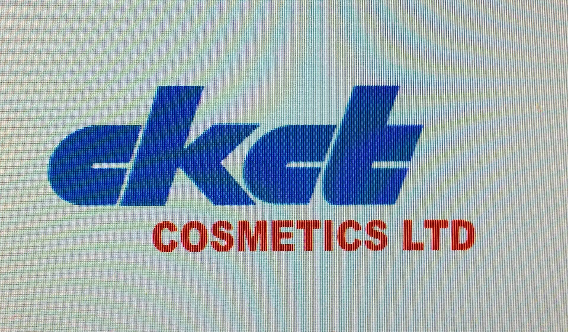 company's logo