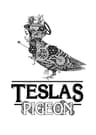 Company name