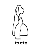 company's logo