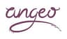 Company name