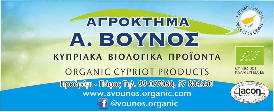 company's logo