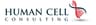 Company name