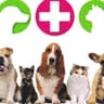 Eliza Loizou Veterinary Clinic