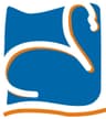 Company name